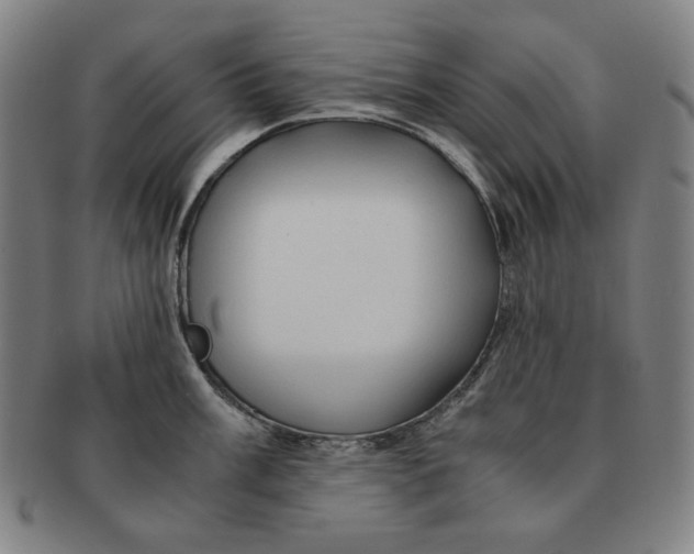 X0000090961003200708301158