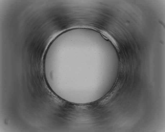 X0000090961004200708301158