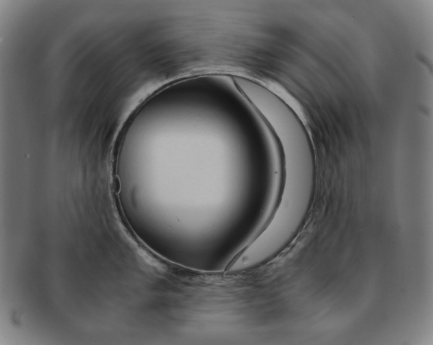 X0000090961005200708301158