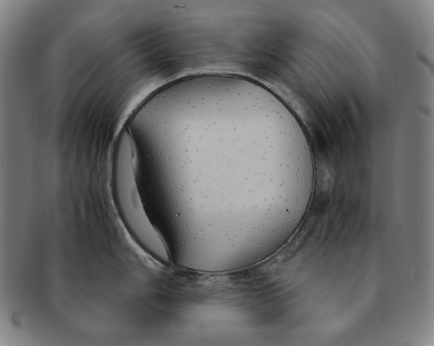 X0000090961006200708301158