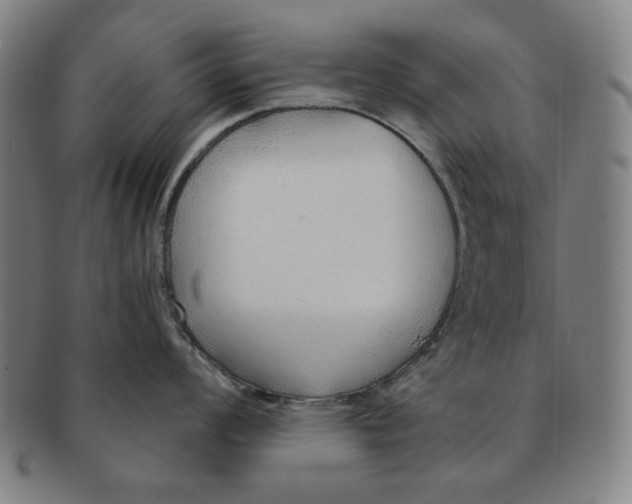 X0000090961008200708301158