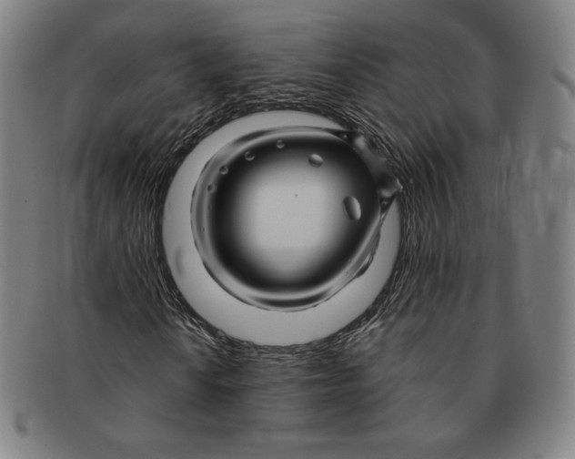 X0000090961010200708301158