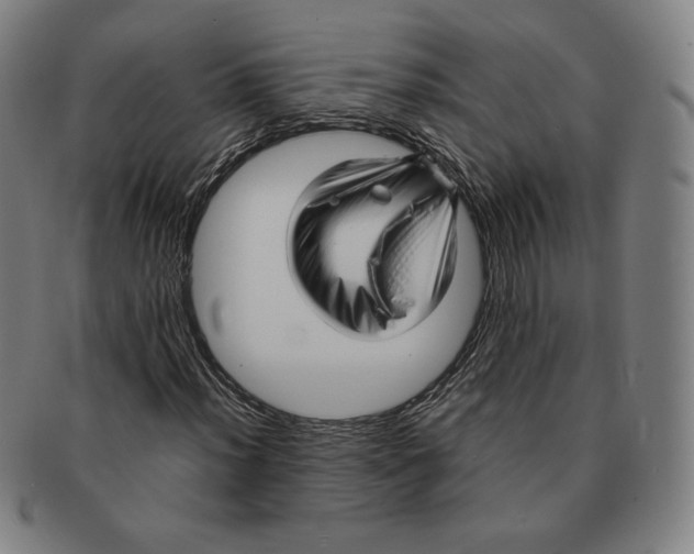 X0000090961012200708301158