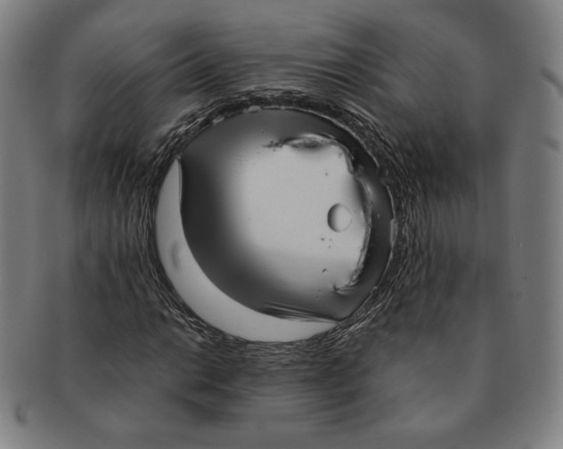 X0000090961014200708301158