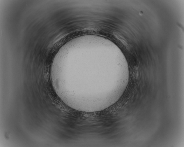 X0000090961015200708301158