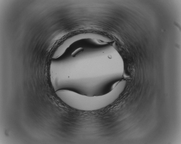 X0000090961016200708301158