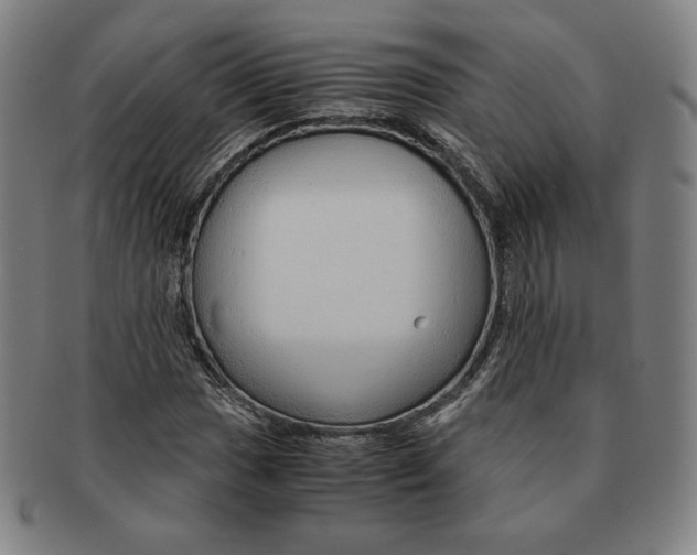 X0000090961017200708301158