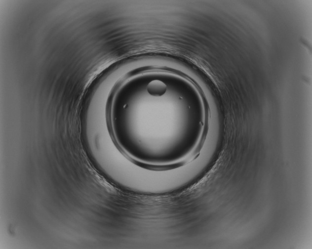 X0000090961018200708301158