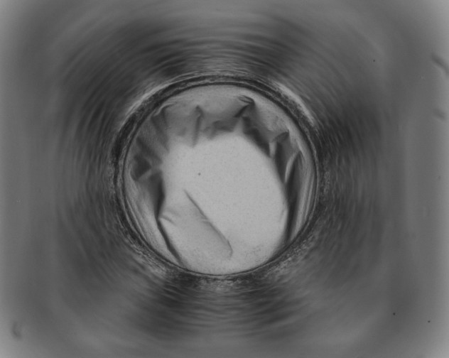 X0000090961019200708301158