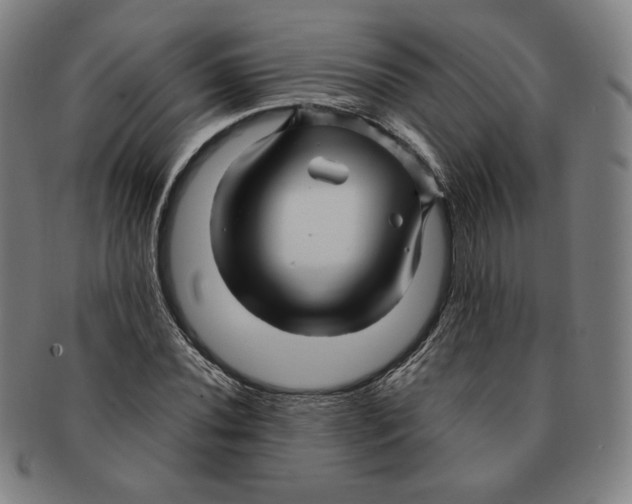 X0000090961020200708301158