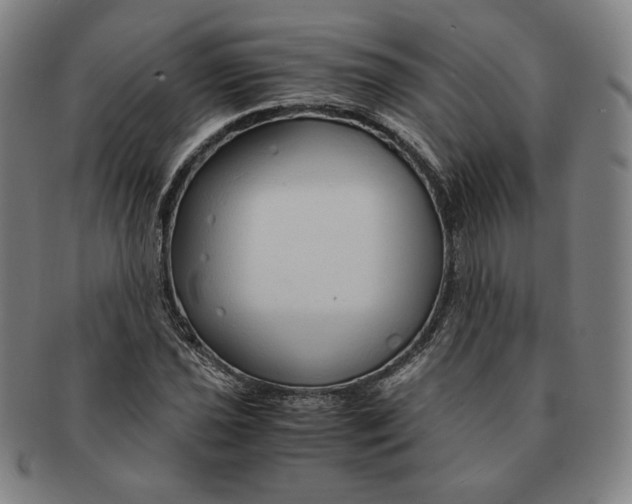 X0000090961021200708301158