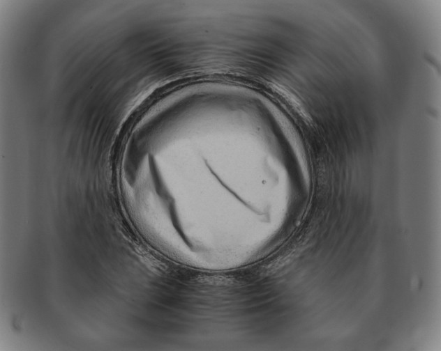 X0000090961023200708301158