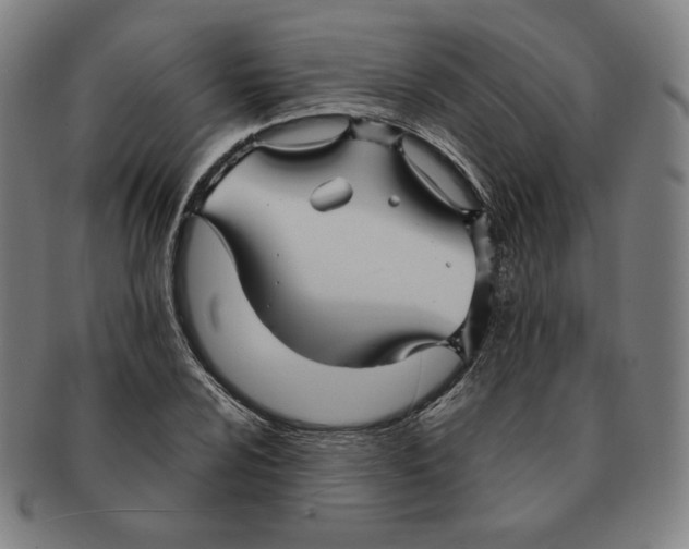 X0000090961024200708301158