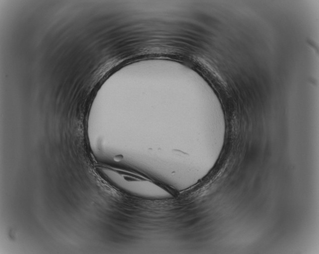 X0000090961025200708301158