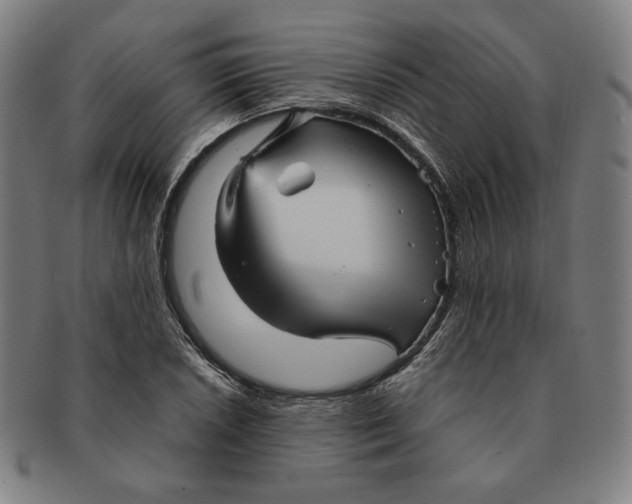 X0000090961026200708301158