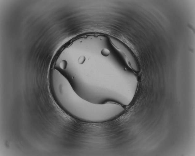 X0000090961028200708301158