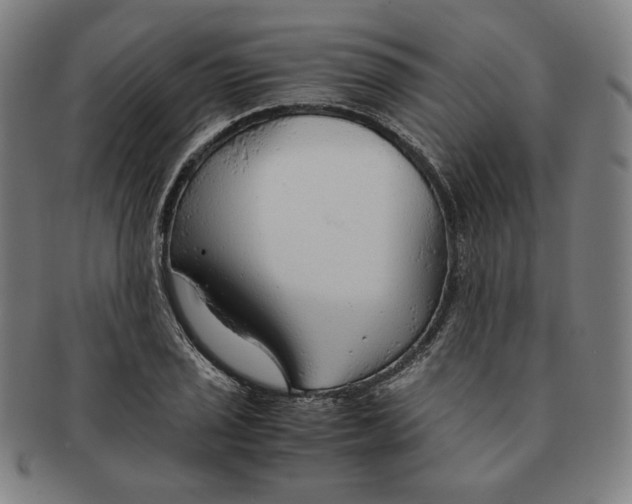 X0000090961029200708301158