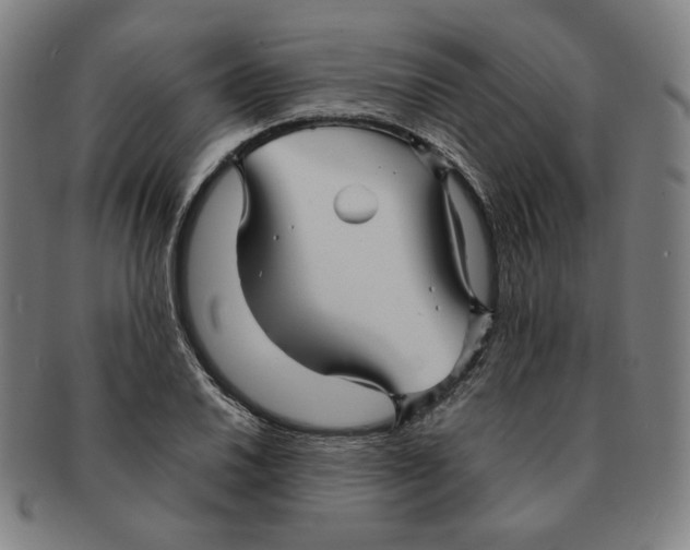 X0000090961030200708301158