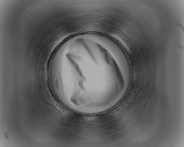 X0000090961031200708301158