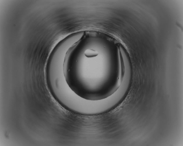 X0000090961032200708301158