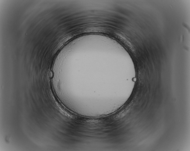 X0000090961033200708301158