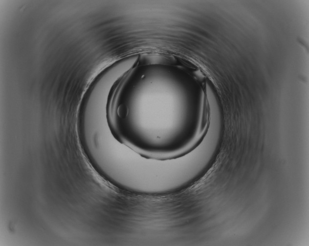 X0000090961034200708301158