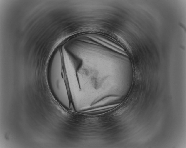 X0000090961035200708301158