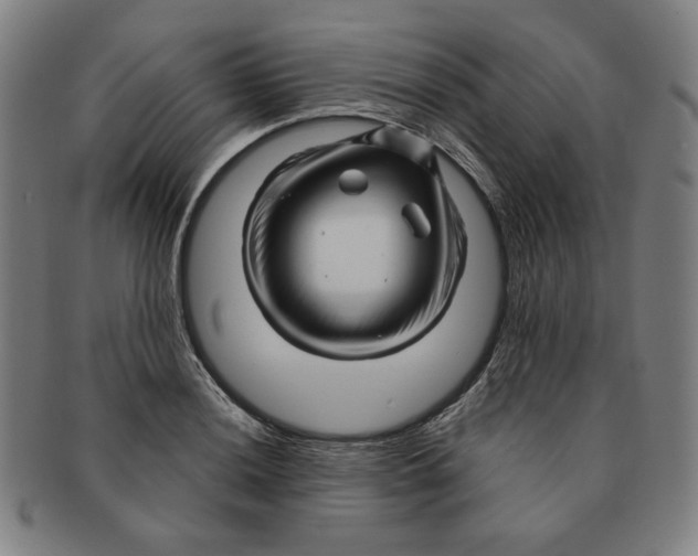 X0000090961036200708301158