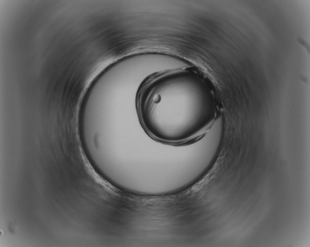 X0000090961038200708301158