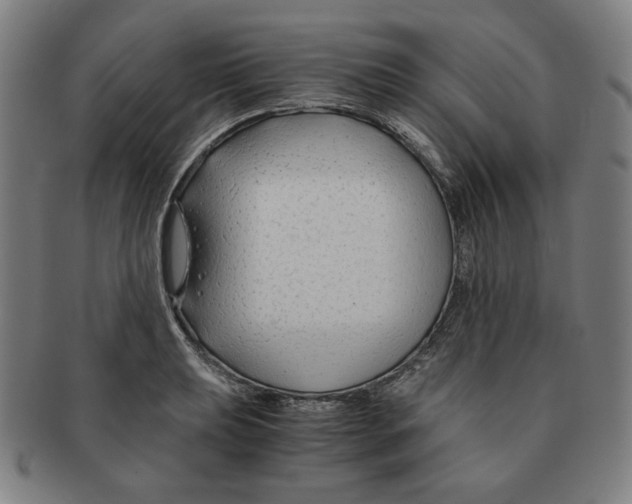 X0000090961039200708301158