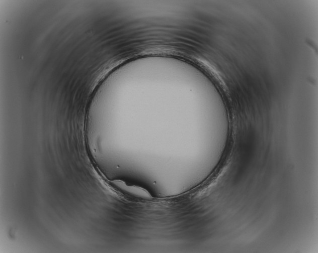 X0000090961041200708301158