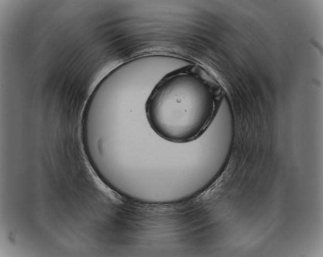 X0000090961042200708301158