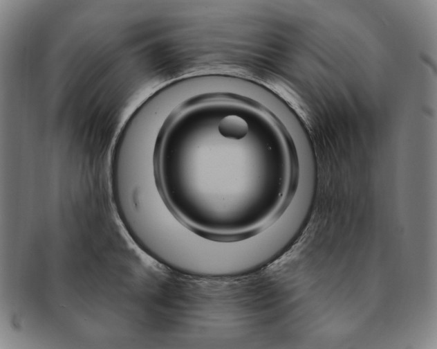 X0000090961046200708301158