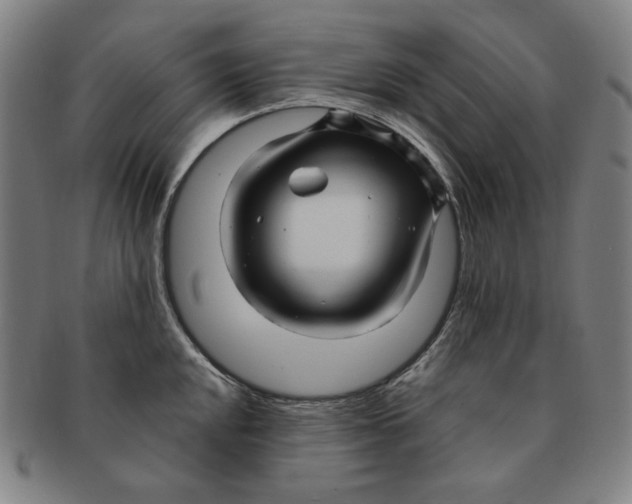 X0000090961048200708301158