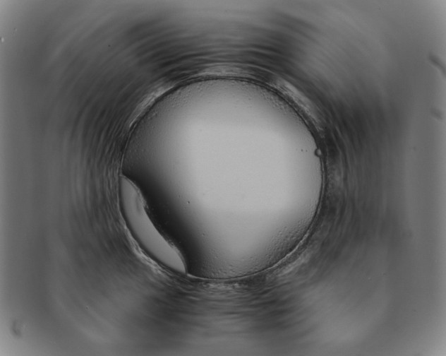 X0000090961049200708301158