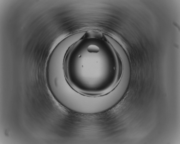 X0000090961050200708301158