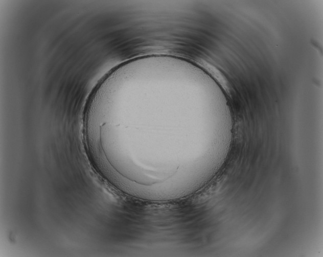 X0000090961051200708301158