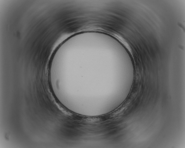 X0000090961053200708301158