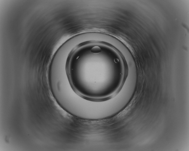 X0000090961054200708301158