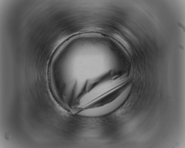 X0000090961055200708301158