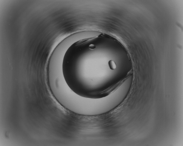 X0000090961056200708301158