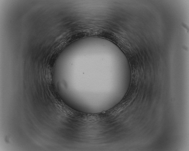 X0000090961058200708301157