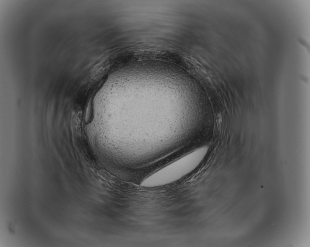 X0000090961059200708301157