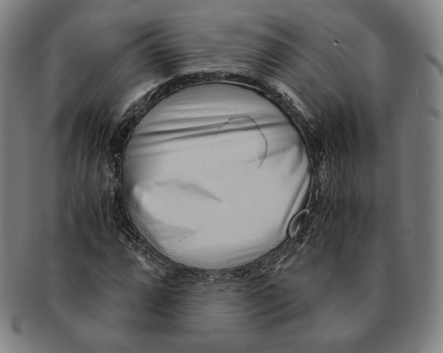 X0000090961064200708301157