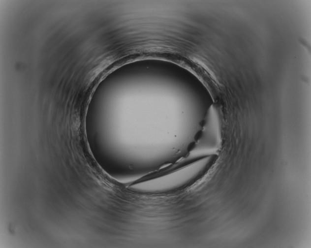 X0000090961065200708301157