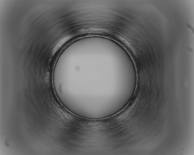 X0000090961066200708301157