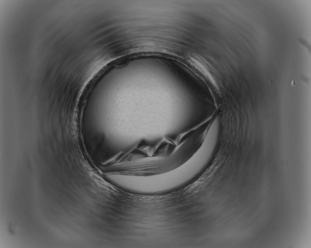 X0000090961068200708301157