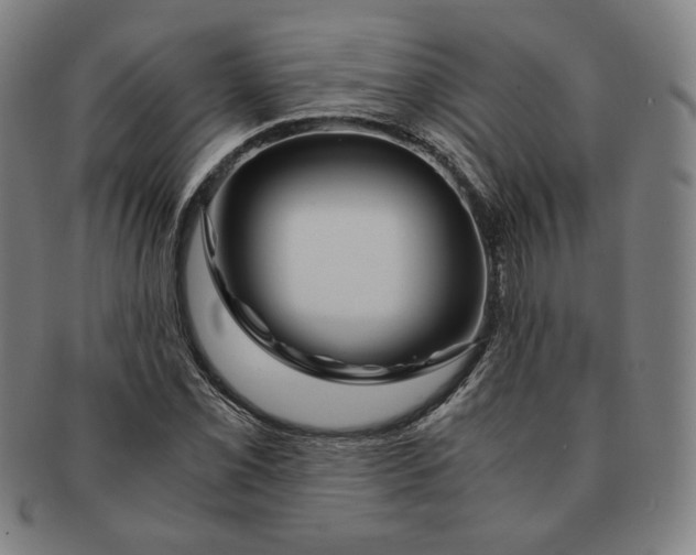 X0000090961069200708301157