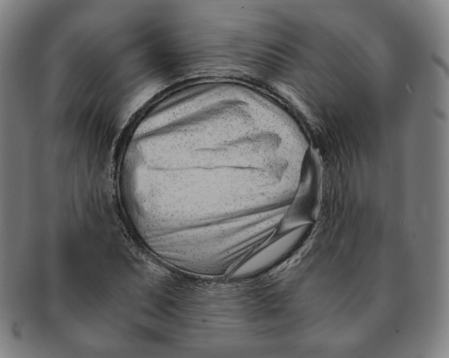 X0000090961071200708301157