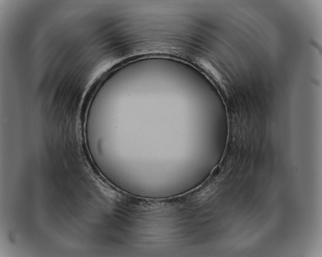 X0000090961072200708301157